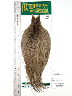 Brown Gray Dun - Whiting Hebert Rooster Cape | Pro Grade (#10)