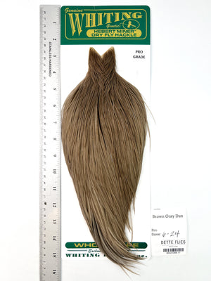 Brown Gray Dun - Whiting Hebert Rooster Cape | Pro Grade (#11)