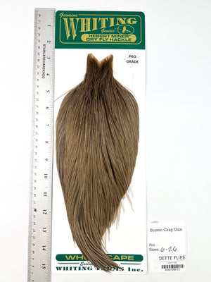 Brown Gray Dun - Whiting Hebert Rooster Cape | Pro Grade (#12)