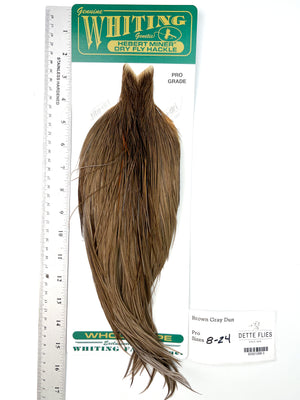 Brown Gray Dun - Whiting Hebert Rooster Cape | Pro Grade (#3)
