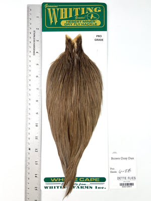 Brown Gray Dun - Whiting Hebert Rooster Cape | Pro Grade (#4)