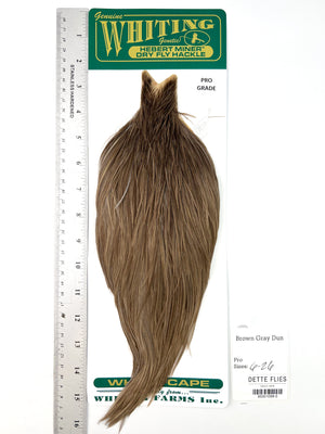 Brown Gray Dun - Whiting Hebert Rooster Cape | Pro Grade (#5)