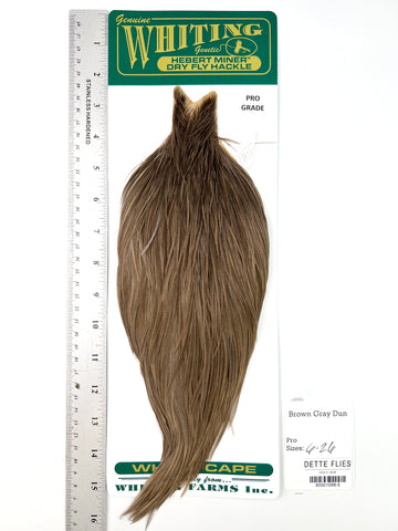 Brown Gray Dun - Whiting Hebert Rooster Cape | Pro Grade (#5)