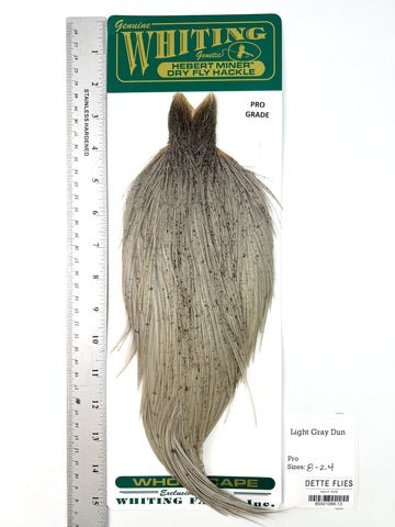 Light Gray Dun - Whiting Hebert Rooster Cape | Pro Grade (#13)