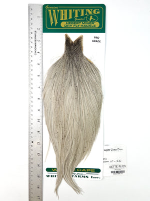 Light Gray Dun - Whiting Hebert Rooster Cape | Pro Grade (#14)