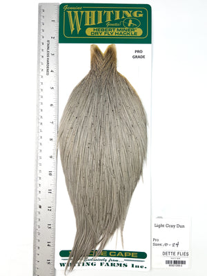 Light Gray Dun - Whiting Hebert Rooster Cape | Pro Grade (#5)