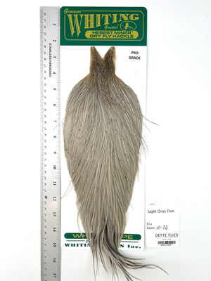 Light Gray Dun - Whiting Hebert Rooster Cape | Pro Grade (#7)