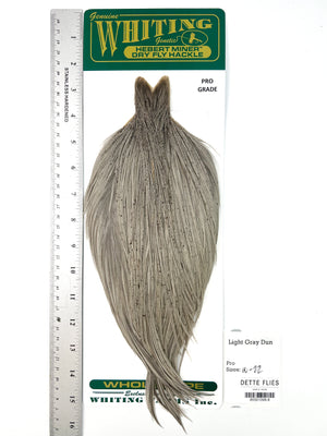 Light Gray Dun - Whiting Hebert Rooster Cape | Pro Grade (#8)