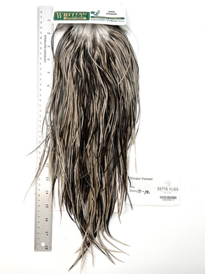 Unique Variant - Whiting Hebert Rooster Saddle | Pro Grade (#13)