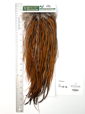 Furnace - Whiting Hebert Rooster Saddle | Pro Grade (#5)