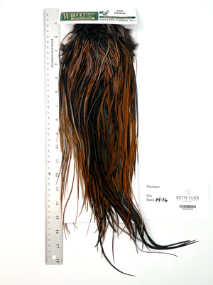 Furnace - Whiting Hebert Rooster Saddle | Pro Grade (#6)