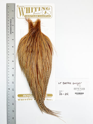 Light Barred Ginger - Whiting Heritage Hackle Rooster Cape  - Grade 1