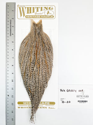 Pale Grizzly Variant - Whiting Heritage Hackle Rooster Cape  - Grade 1