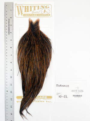 Furnace - Whiting Heritage Hackle Rooster Cape  - Grade 1