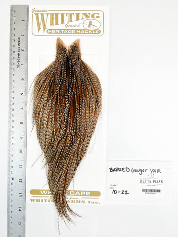 Barred Ginger Variant - Whiting Heritage Hackle Rooster Cape  - Grade 1