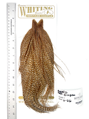 Barred Medium Ginger - Whiting Heritage Hackle Rooster Cape - Grade 1 (#39)