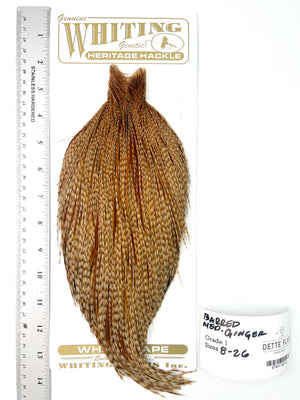 Barred Medium Ginger - Whiting Heritage Hackle Rooster Cape - Grade 1 (#40)
