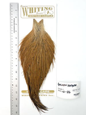 Golden Badger - Whiting Heritage Hackle Rooster Cape - Grade 1 (#44)