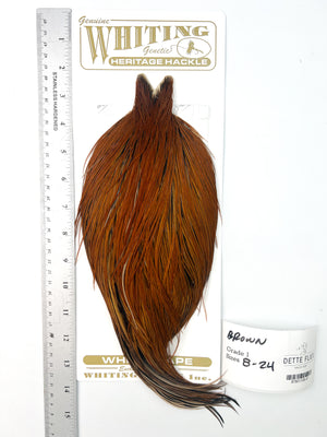 Brown - Whiting Heritage Hackle Rooster Cape - Grade 1 (#47)
