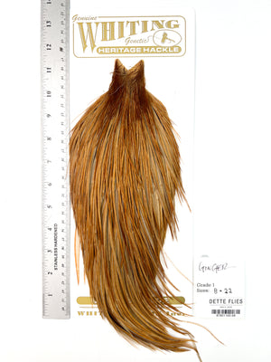 Ginger - Whiting Heritage Hackle Rooster Cape - Grade 1 (#58)