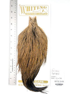 Golden Badger - Whiting Heritage Hackle Rooster Cape - Grade 1 (#66)