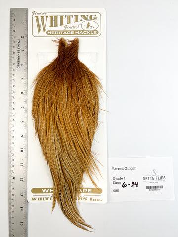 Barred Ginger - Whiting Heritage Hackle Rooster Cape - Grade 1