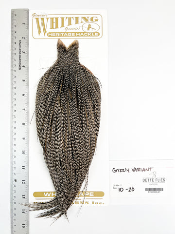 Grizzly Variant - Whiting Heritage Hackle Rooster Cape  - Grade 2