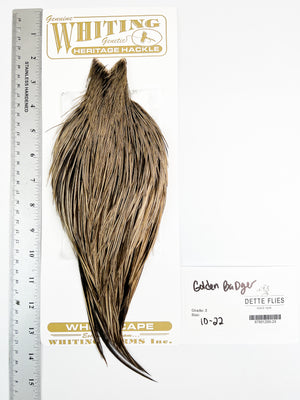Golden Badger - Whiting Heritage Hackle Rooster Cape  - Grade 2