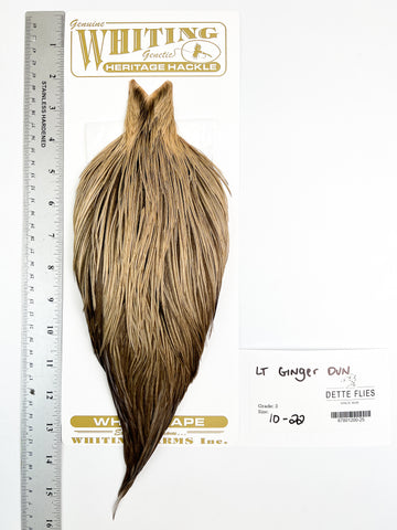 Light Ginger Dun - Whiting Heritage Hackle Rooster Cape  - Grade 2