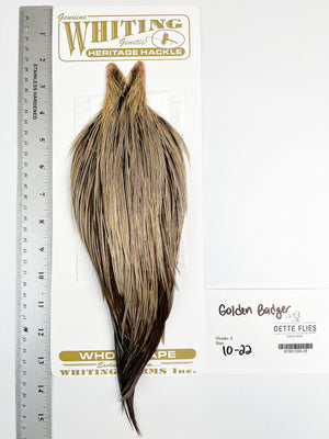 Golden Badger - Whiting Heritage Hackle Rooster Cape  - Grade 2