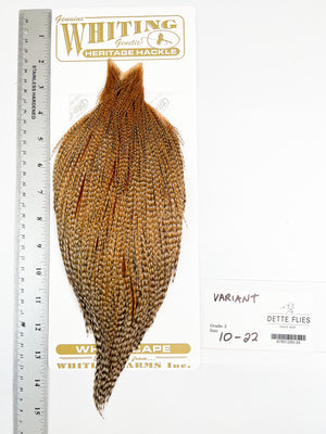 Variant - Whiting Heritage Hackle Rooster Cape  - Grade 2
