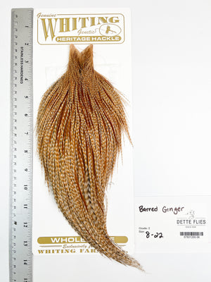 Barred Ginger - Whiting Heritage Hackle Rooster Cape  - Grade 2