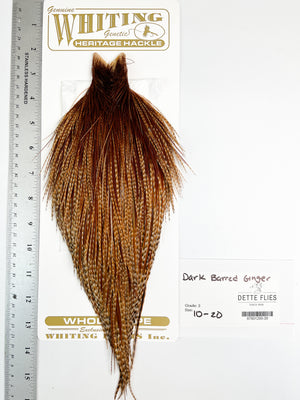 Dark Barred Ginger - Whiting Heritage Hackle Rooster Cape  - Grade 2