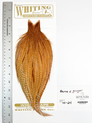 Barred Ginger - Whiting Heritage Hackle Rooster Cape  - Grade 2