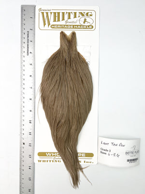 Light Tan Dun - Whiting Heritage Hackle Rooster Cape - Grade 2 (#57)