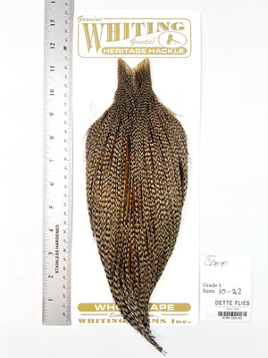 Cree - Whiting Heritage Hackle Rooster Cape - Grade 2 (#63)