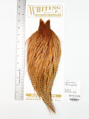 Barred Ginger - Whiting Heritage Hackle Rooster Cape - Grade 2 (#68)