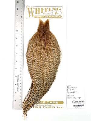 Barred Light Ginger - Whiting Heritage Hackle Rooster Cape - Grade 2 (#70)