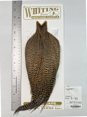 Cree - Whiting Heritage Hackle Rooster Cape - Grade 2 (#71)