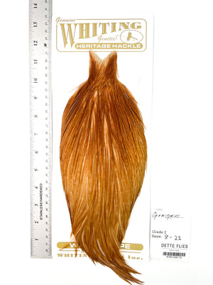 Ginger - Whiting Heritage Hackle Rooster Cape - Grade 2 (#73)