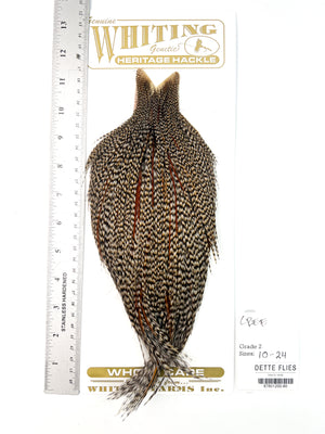 Cree - Whiting Heritage Hackle Rooster Cape - Grade 2 (#80)