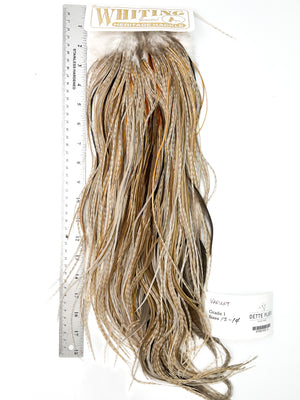 Variant - Whiting Heritage Hackle Rooster Saddle - Grade 1 (#13)