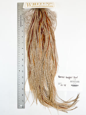 Barred Ginger Dun - Whiting Heritage Hackle Rooster Saddle - Grade 2