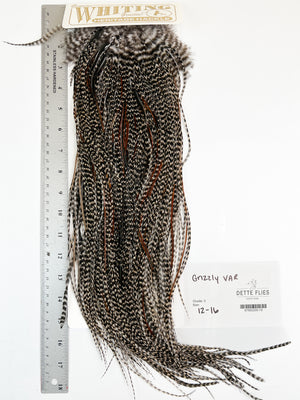 Grizzly Variant - Whiting Heritage Hackle Rooster Saddle - Grade 2