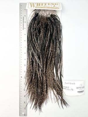 Dark Grizzly - Whiting Heritage Hackle Rooster Saddle - Grade 2 (#29)