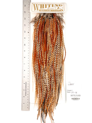 Cree - Whiting Heritage Hackle Rooster Saddle - Grade 2 (#32)