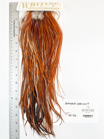 Ginger Variant - Whiting Heritage Hackle Rooster Saddle - Grade 3