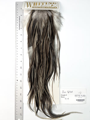 Dun Splash - Whiting Heritage Hackle Rooster Saddle - Grade 3 (#46)