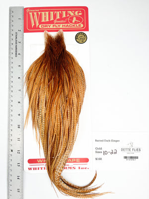 Barred Dark Ginger - Whiting Line Rooster Cape - Gold Grade