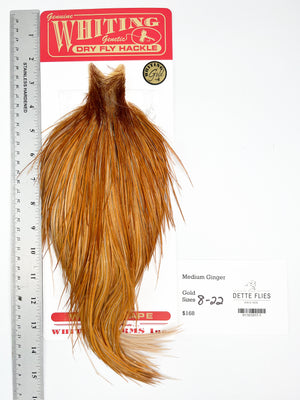 Medium Ginger - Whiting Line Rooster Cape - Gold Grade